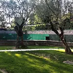 Molino