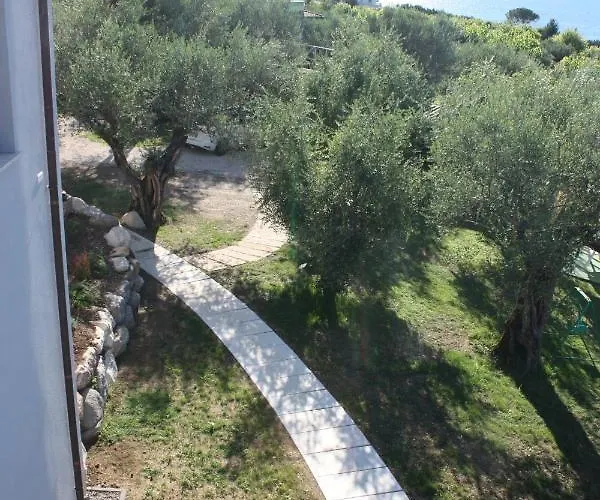 Molino
